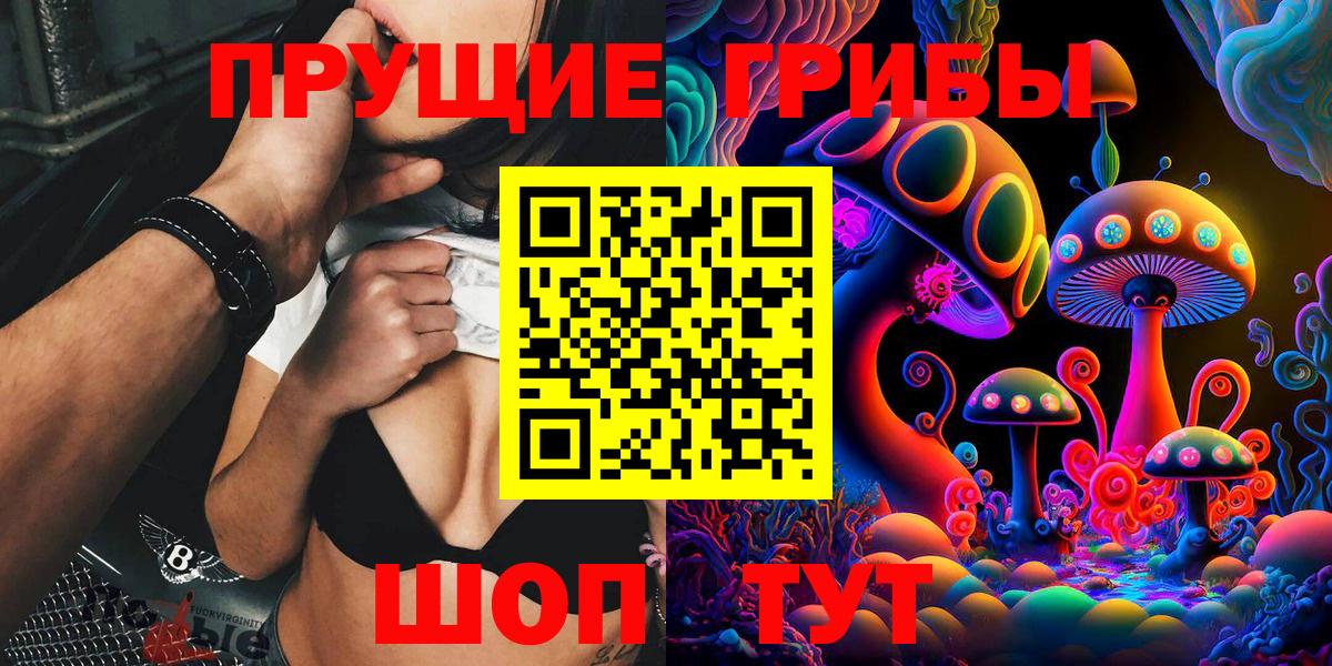 Павлово  Галлюциногенные грибы Psilocybe  Галлюциногенные грибы прущие грибы  Вход с VPN 